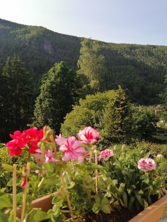 Chez Many, Par Fred Et Henri Bed & Breakfast มงแตร์เม ภายนอก รูปภาพ